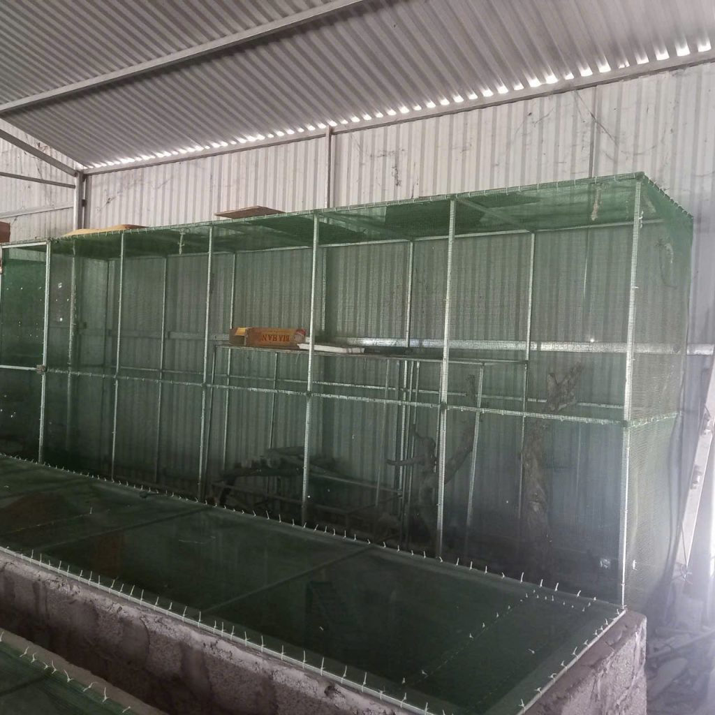 Hướng Dẫn Kỹ Thuật Làm Chuồng Nuôi Tắc Kè