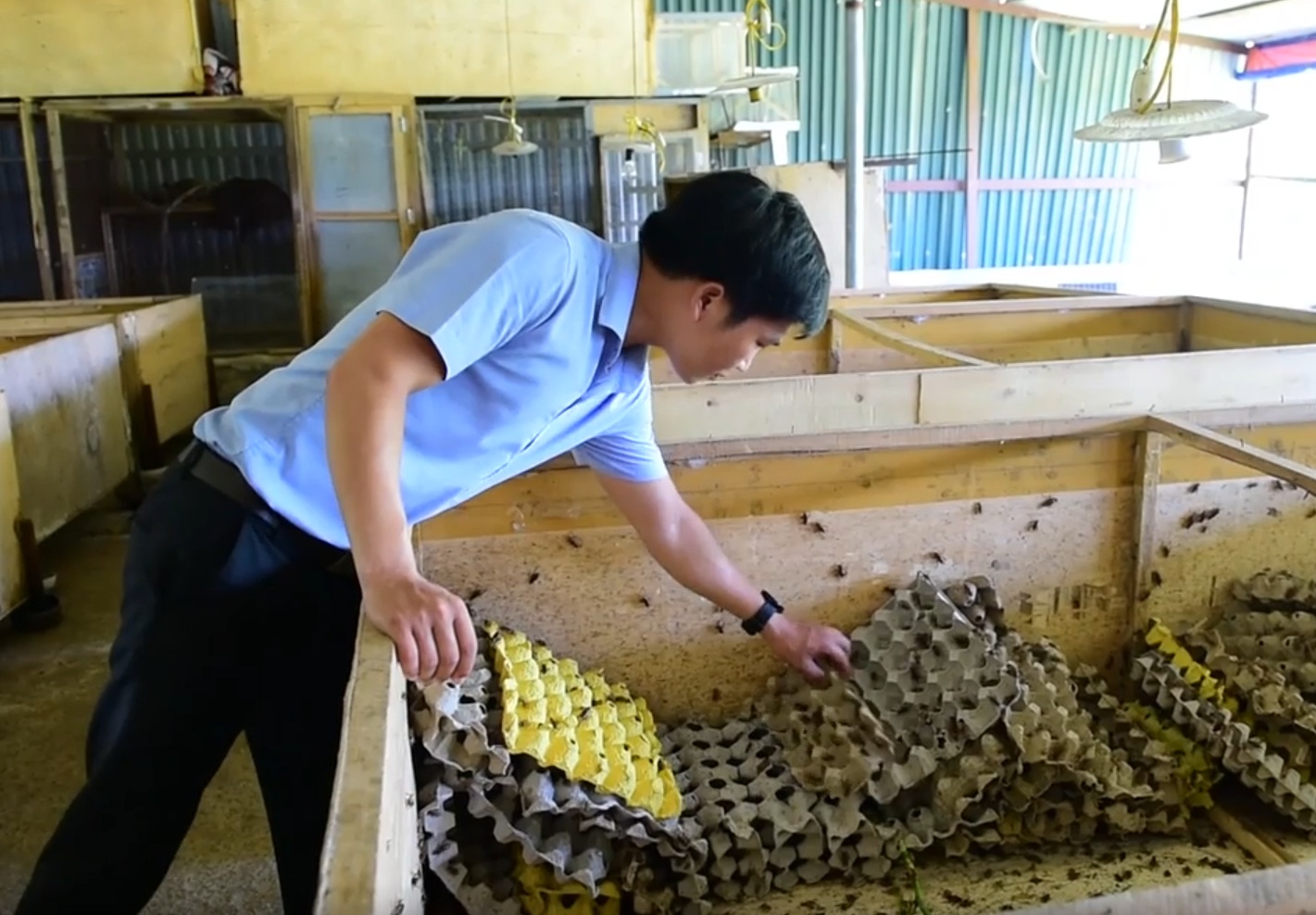 TRỌN BỘ GIẢI PHÁP KHỞI ĐẦU CHĂN NUÔI